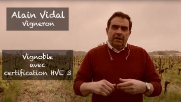 vignoble avec certification hve3